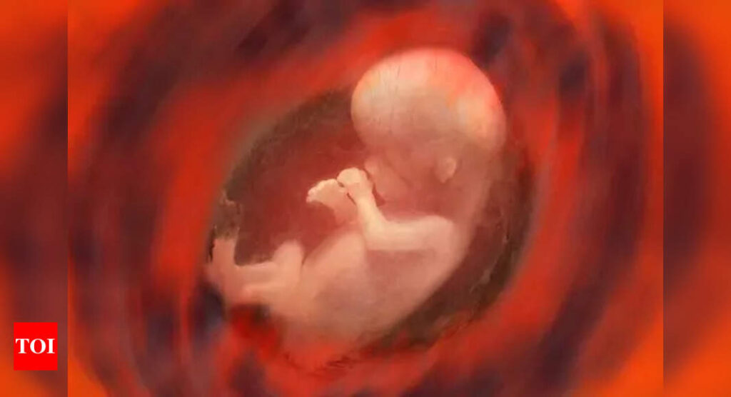 International Day of the Unborn Child 2023: History, Theme, and Significance