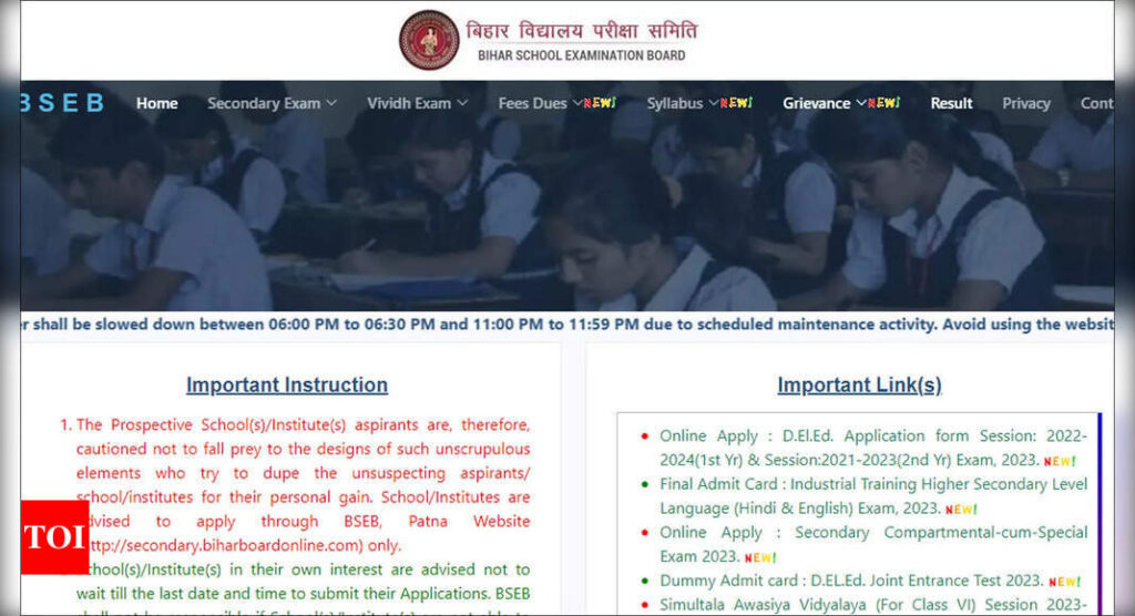 Bihar DElEd Dummy Admit Card 2023 released, download here