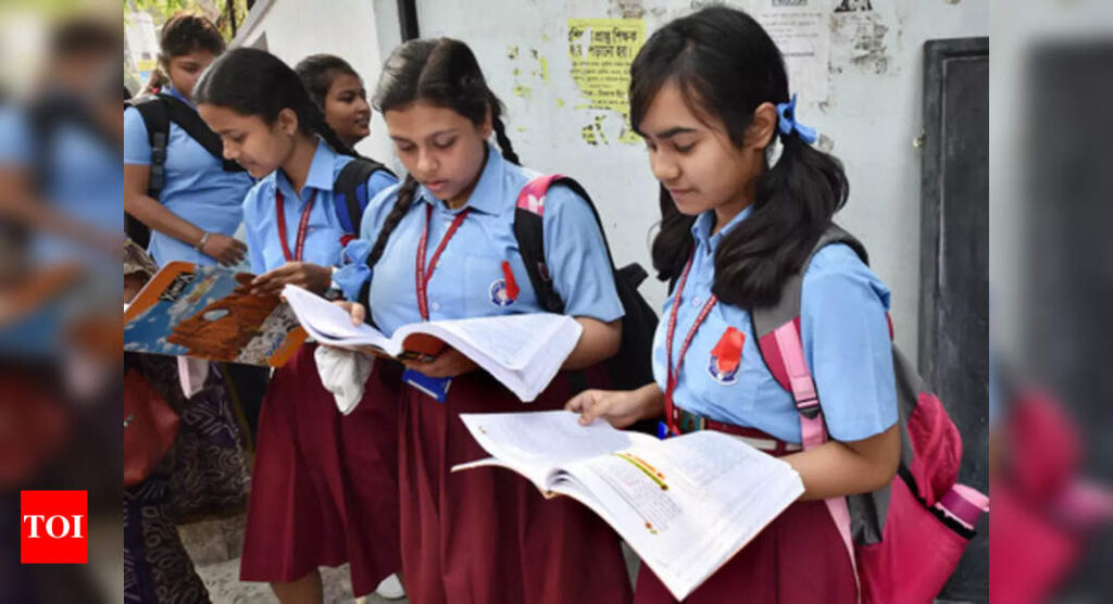 CBSE Board Exam Results 2023: Students from smaller towns top in Prayagraj region
