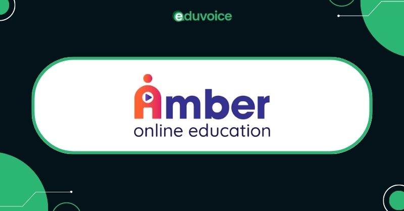 amber online education