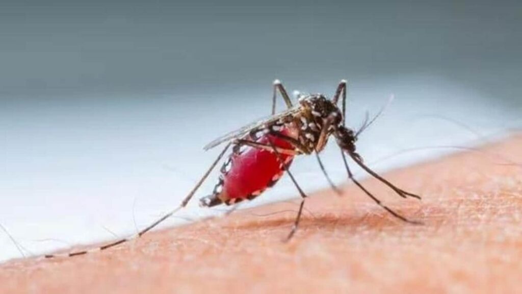 Malaria jab marks a health landmark